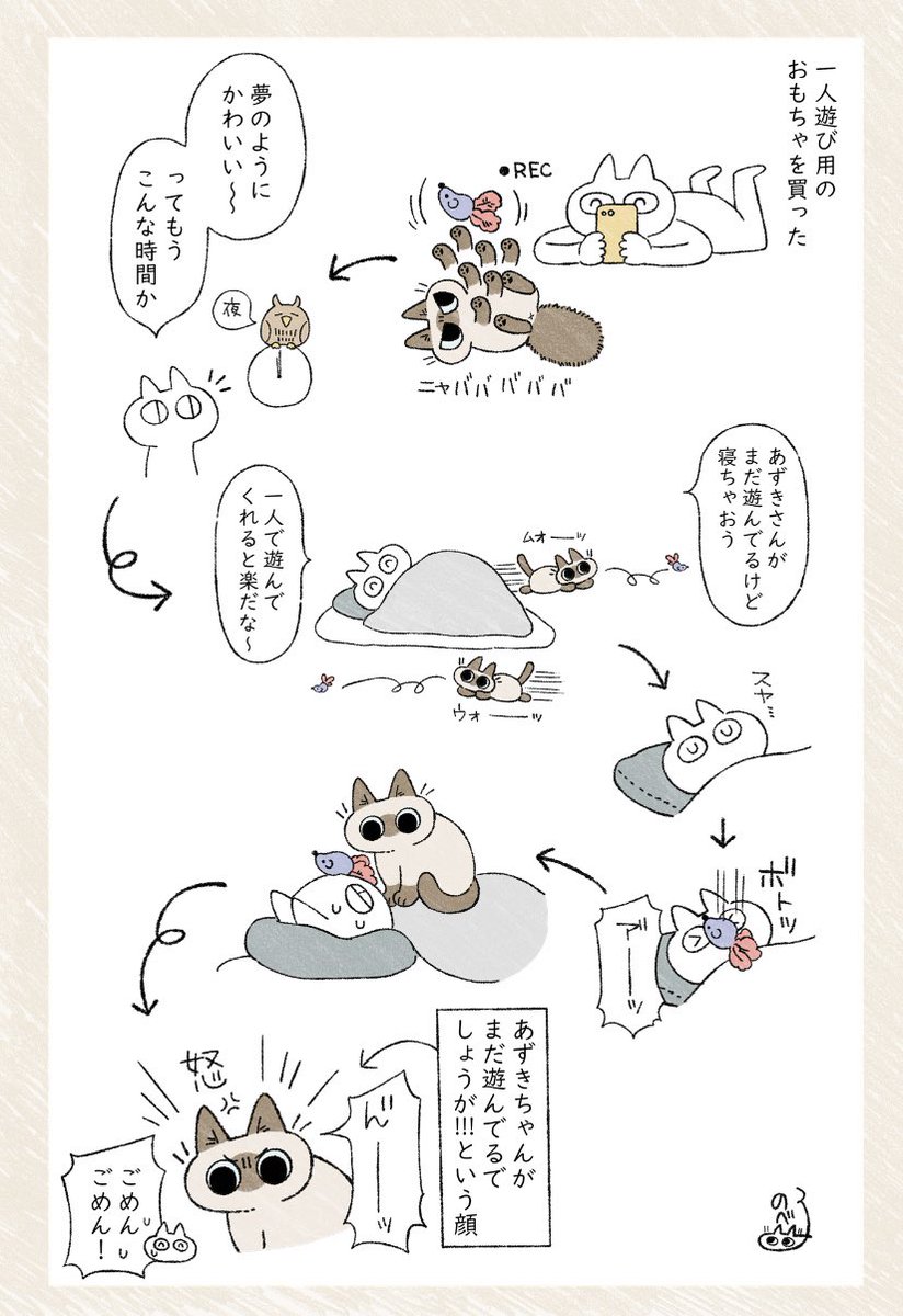 見てなきゃいけない #シャム猫あずきさんは世界の中心 