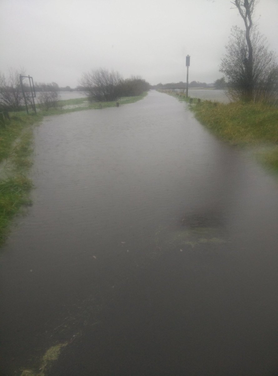 Walked down by the canal to check out the flooding. Second pic - compare that to the first pic in this thread. The sign at the end is indistinguishable.   #RiverShannon  #Athlone