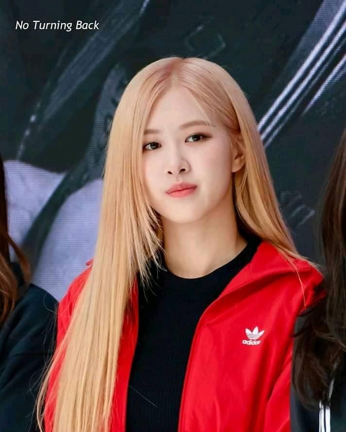 hourly rosé tweet media