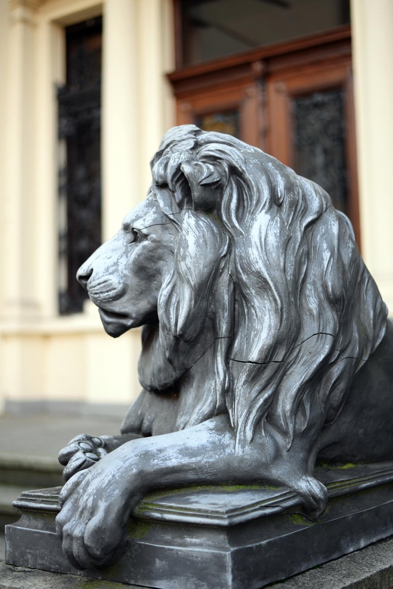 Lion sculpture in front of the Museum Koenig.
.
#lion #sculpture #lionsculpture #museumkoenig #museumkoenigbonn #bonn #rheinauenbonn #autum #fall #geocaching #labcache .
.
blog.feliscatus.de/archives/3339-…