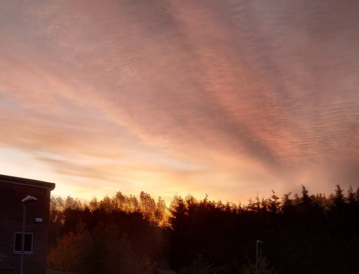 Skin Life Analytics tweet media