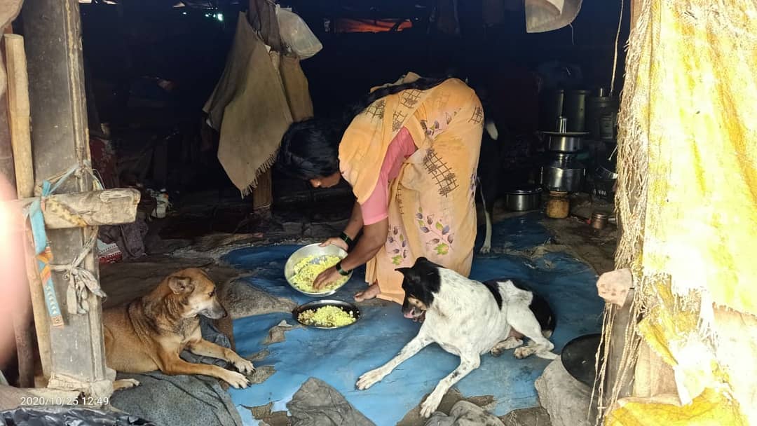 parvejshaikhh's tweet photo. Some people are poor financially..
But so rich by heart ✨
#humanswithhumanity https://t.co/wfRH6I6hvg