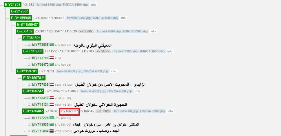E_m84_results's tweet photo. يسرني اعلان عينة الناجي-قرية شمر-وصاب العالي-اليمن برقم:B80354
موجبة ماركريا للتحورات
E-M84>Y21768>BY159781
تلتقي في التحور BY159781 بعينات من:
-خولان الطيال
-عينة من خولان بن عامر

تلتقي في التحور Z36159 بعينة المعيقلي البلوي 

تم ارفاق مشجرة جينية(محدثة)للفرع الجيني E-Y21768. https://t.co/oVs0xz565x