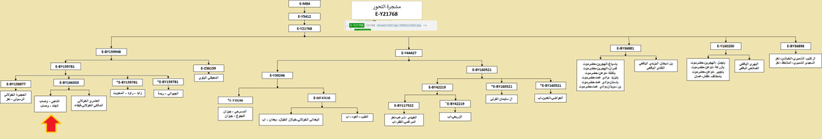 E_m84_results's tweet photo. يسرني اعلان عينة الناجي-قرية شمر-وصاب العالي-اليمن برقم:B80354
موجبة ماركريا للتحورات
E-M84>Y21768>BY159781
تلتقي في التحور BY159781 بعينات من:
-خولان الطيال
-عينة من خولان بن عامر

تلتقي في التحور Z36159 بعينة المعيقلي البلوي 

تم ارفاق مشجرة جينية(محدثة)للفرع الجيني E-Y21768. https://t.co/oVs0xz565x