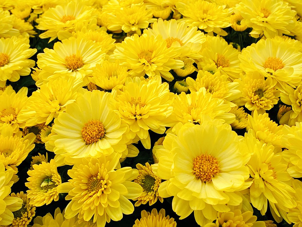 LanaToro21's tweet image. #SupportMyFriends #MyValues

Love is ability to Overcome obstacles together, Withstand life storms, Forgive, Grow, Value, be LOYAL, Hold each other's hand in troubles.

And when you are by someone Only in joyful, beautiful moments - it's not love...❤🍃🕊🍃❤