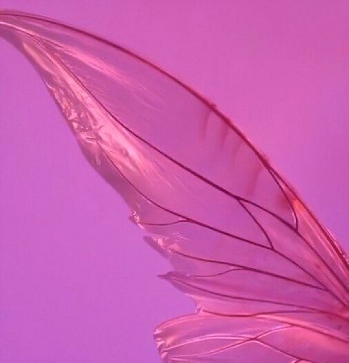 JordanElizabeth's tweet photo. L💖VE, J🌸Y, LiFe, P☀️SITIVITY, and Peace✌! Death, hatred, confusion, doubt, division, condemnation, blame, negativity, and accusations can leave in JESUS NAME!! BYE!!!! 🥿👛💟💖💗💕 

♡☆♡☆♡https://t.co/uL6XYXGUis

~♡-♡~https://t.co/6JOKzn45C8 https://t.co/VERmsvQjUV
