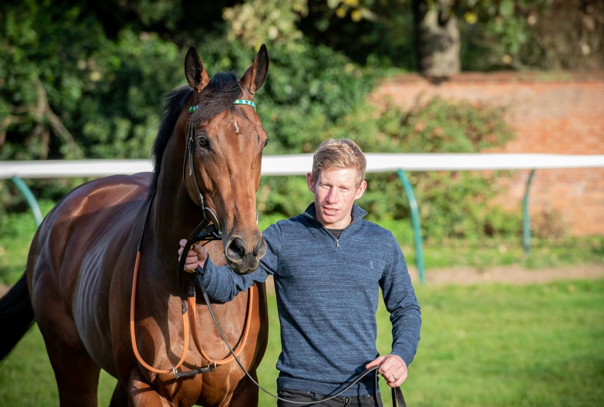 MelanieSauerPh1's tweet photo. Legend #ONEMASTER looking amazing after her historical 3rd win in the G1 Prix de la Foret @paris_longchamp. And she knows how special she is!!! Elena who looks after her, Jason her rider & the team at Somerville Lodge could not be prouder of the super mare. Next stop BC 🇺🇸 https://t.co/6jafsEjrRq