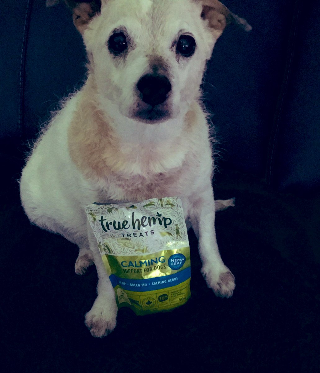 PussPussTopCat's tweet photo. I love my bowzey wowzey hemp treats @NeemTeam They really do help and I think all doggies and maybe cats should try them. I especially like these... #truehemp https://t.co/7o7NhCwkiE