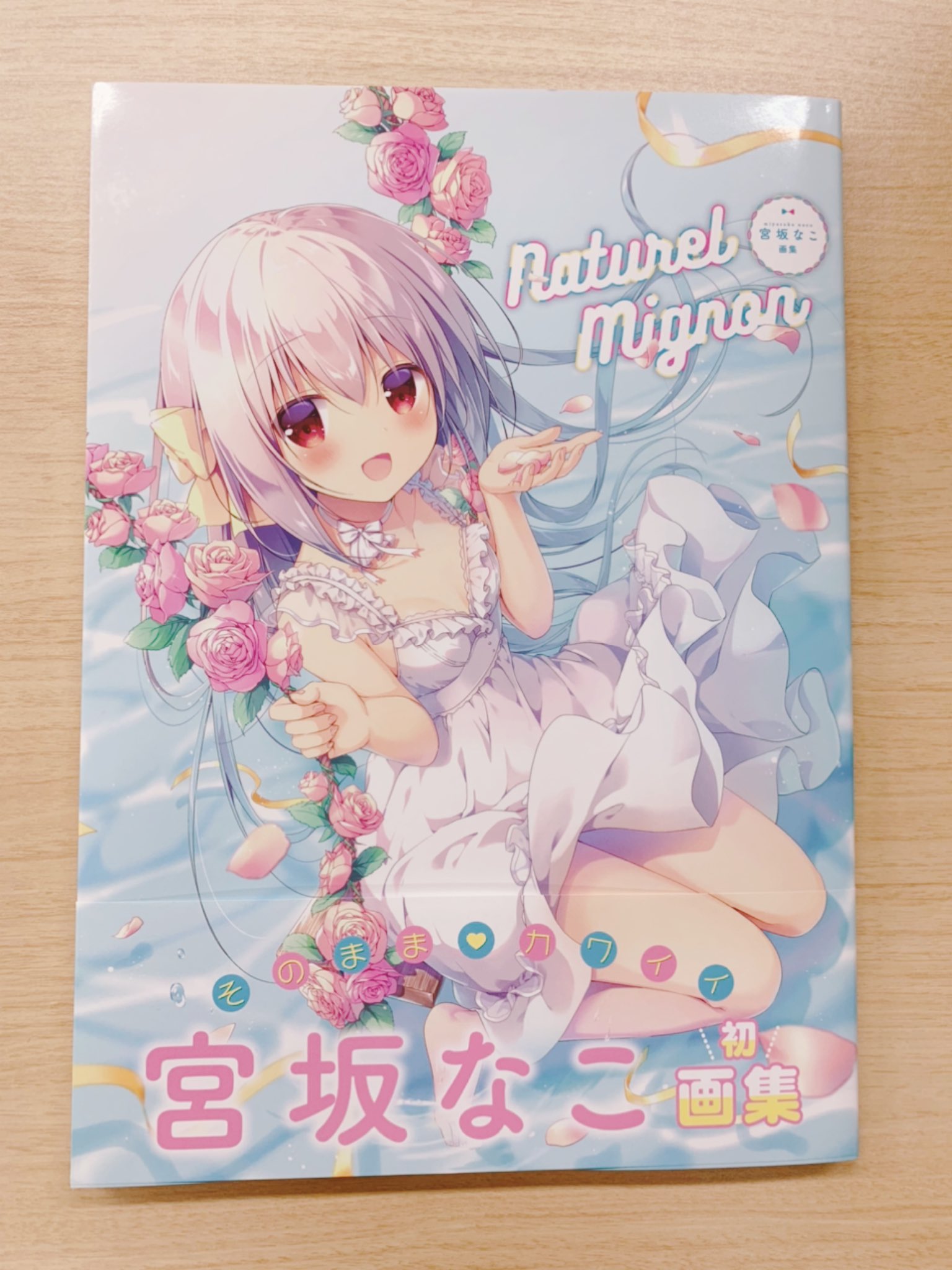 mignon 画集 NUMMY mignon画集 mignon 画集 NUMMY mignon画集 YUMMY TUMMY : mignon