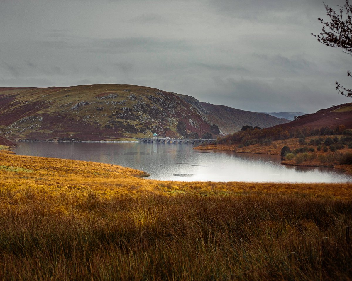 Shoot for the SER tweet media