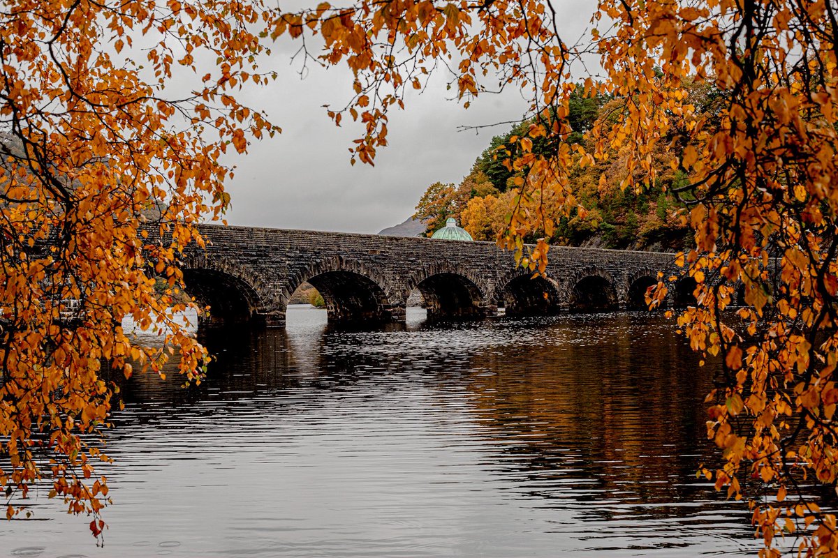 Shoot for the SER tweet media