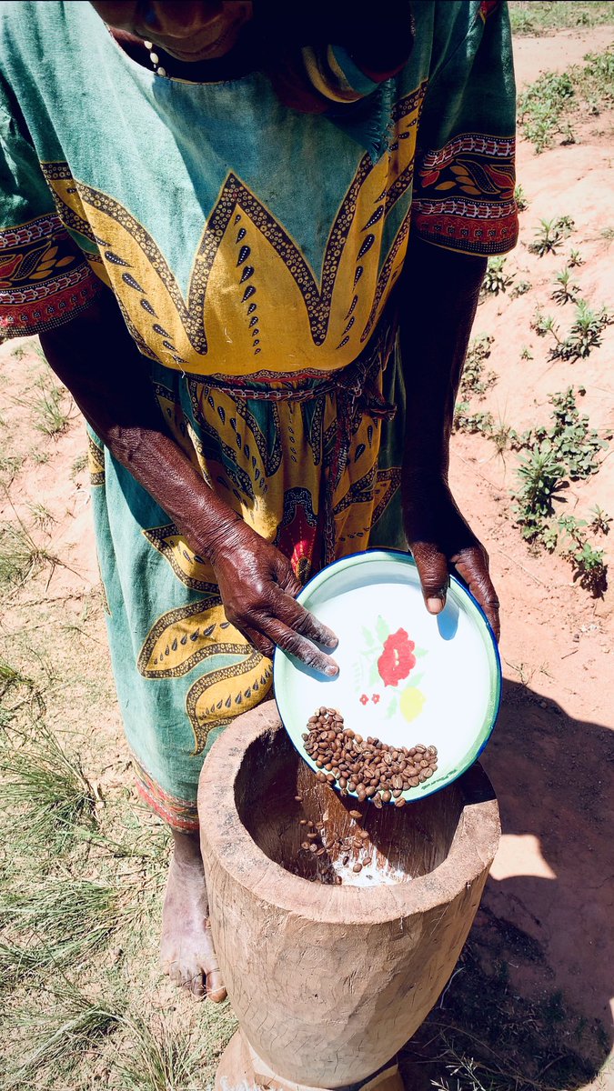 tnashenyamudoka's tweet photo. Grandmother’s fresh ground coffee using Duri ne Guyo. You just have to admire the skill and knowledge our elders have.👏🏽 https://t.co/n4YteRtKMi