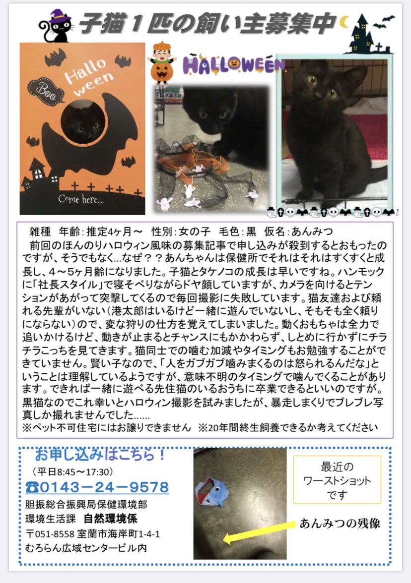北海道 保健所 里親募集 コロナに負けるな 北海道の飲食店応援 Apple Twitter