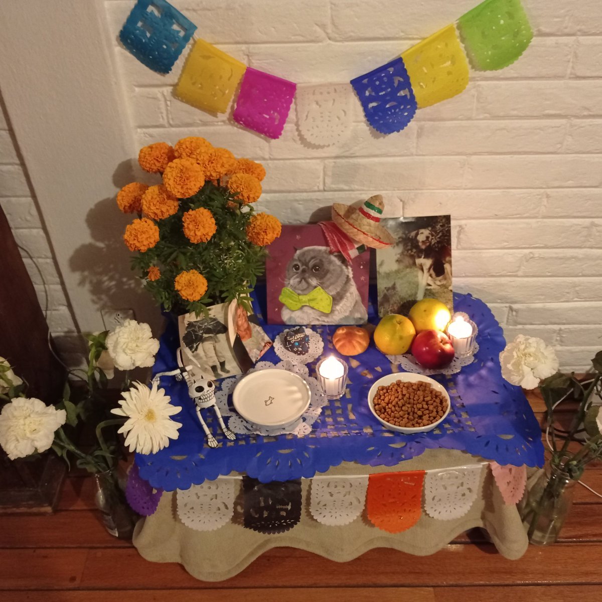 sonicgu's tweet photo. Nuestra ofrenda. #LesterIsLester https://t.co/DJwV9P3z97