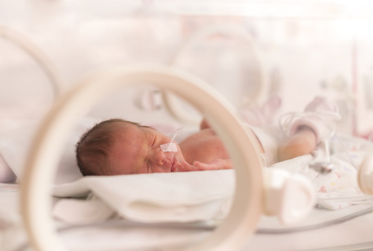 UQ Medicine (@uqmedicine) on Twitter photo According to new #UQResearch, genetics are responsible for the link between lower birthweight and increased risk of heart and metabolic diseases
Read more: bit.ly/37OXXth
@Momsemat <a href="/NMWarrington/">Nicole Warrington</a> <a href="/evans1_d/">david_mf_evans</a> According to new #UQResearch, genetics are responsible for the link between lower birthweight and increased risk of heart and metabolic diseases
Read more: bit.ly/37OXXth
@Momsemat <a href="/NMWarrington/">Nicole Warrington</a> <a href="/evans1_d/">david_mf_evans</a>