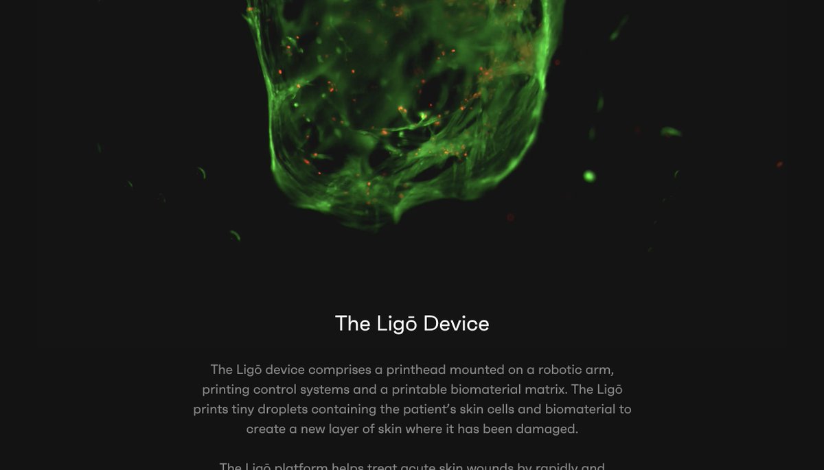 haydenbleasel's tweet photo. Working with @InventiaLifeSci's spheroid assets are always good fun 🧫 https://t.co/7gjRCXpQ0G