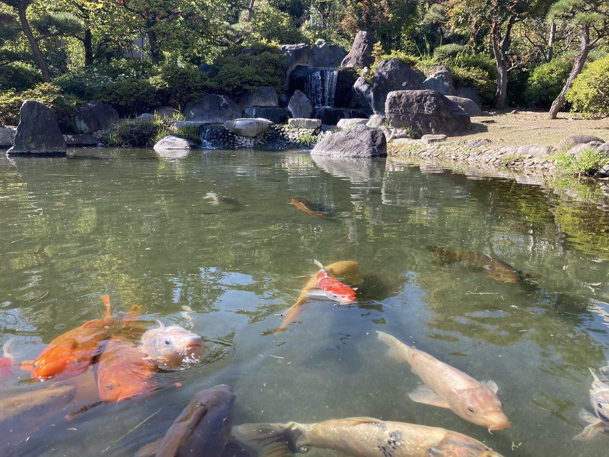 H15Naoto's tweet photo. ホテルの庭が良かったのでパシャリ。
#イマソラ https://t.co/9jyeKFbLTH