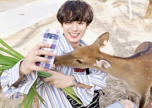 his love for animals makes me love him even more   @weareoneEXO  #EXO