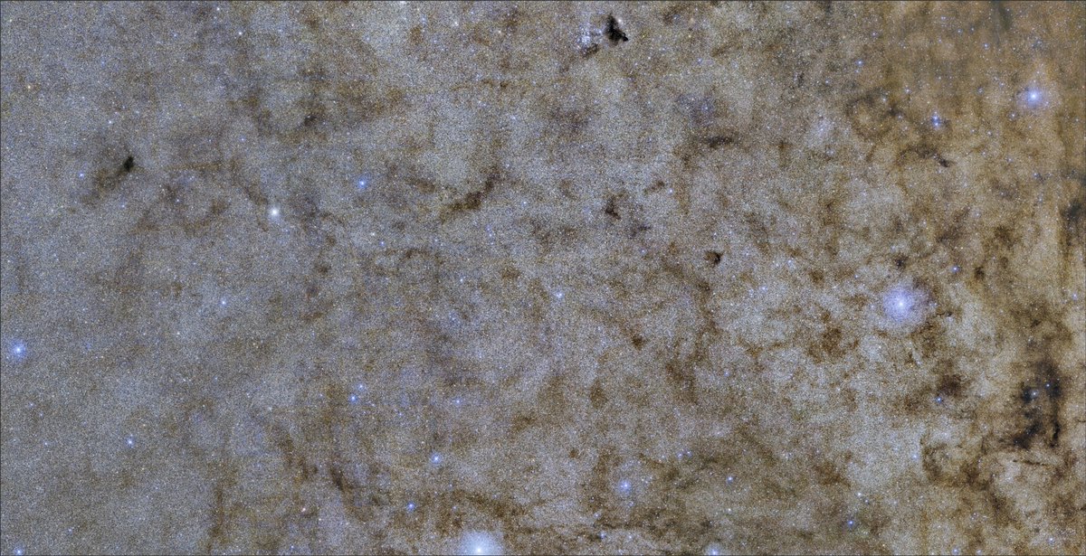 A tiny section of our galactic center. 10 million stars.

Where is everybody?