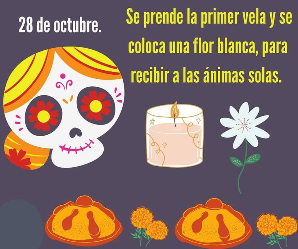 AlfredLiraF's tweet photo. ���🇽 #DiaDeMuertos tradición Mexicana 🇲🇽 https://t.co/Ewuv1ww7y6
