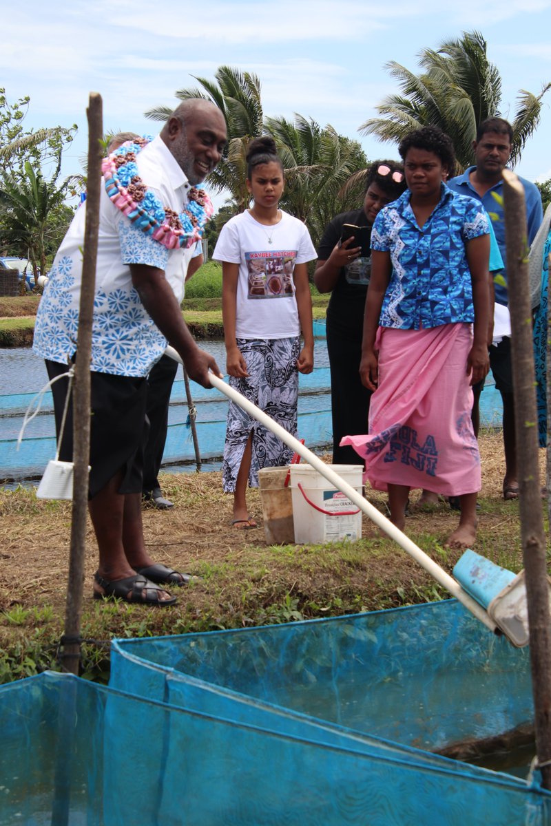 Ministry of Fisheries, Fiji (@fisheriesof) on Twitter photo Honourable Semi Koroilavesau officially opened the Kaybees tilapia hatchery in Nakasi this morning. Mr Koroilavesau congratulated Kaybee Farms on the initiative which will immediately see more farmers in the vicinity benefitting from the supply of tilapia fingerlings. Honourable Semi Koroilavesau officially opened the Kaybees tilapia hatchery in Nakasi this morning. Mr Koroilavesau congratulated Kaybee Farms on the initiative which will immediately see more farmers in the vicinity benefitting from the supply of tilapia fingerlings.