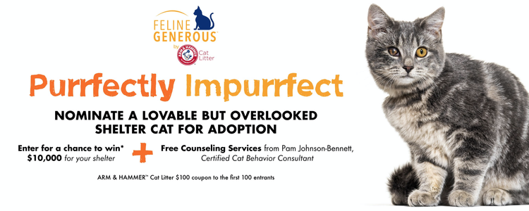 MediaPost's tweet photo. #Arm&Hammer aims to help #ImpurrfectCats with digital effort from #PureRed #TheVIAAgency, reports #TanyaGazdik https://t.co/s1CzwrdJyx https://t.co/BPJDaimZbT