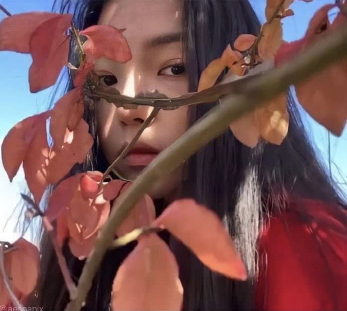 Fall season. Look at these tree leaves that I took picture of, dressed up in warm gold reddish color, fluttering in the breeze and then touching the ground softly. Here I am, with my warm red piece, painted in the clear blue sky. Wishing you to have a good day ahead, good people.