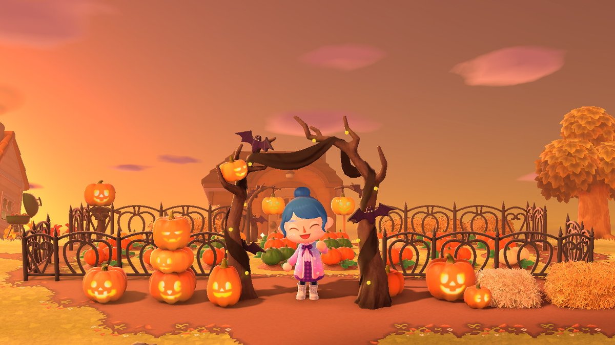 AcnhAsia's tweet photo. Pumpkin patch redesign coming along well https://t.co/FehEdwJwIX