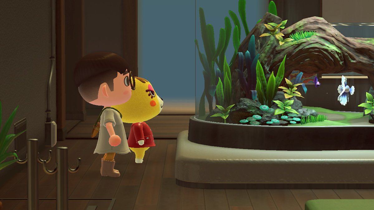 AcnhAsia's tweet photo. Aquarium date with Tammy https://t.co/urSU3TUgh7