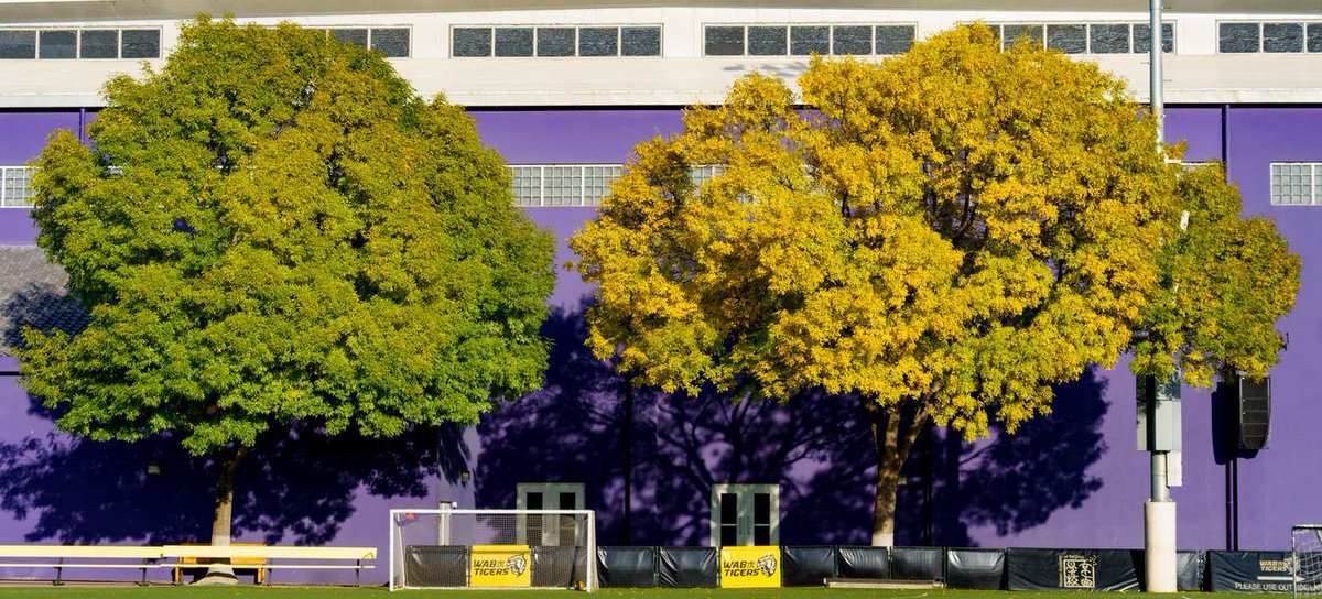 WAB_LIVE's tweet photo. 🎶 It’s the most colorful time of the year 🎶 https://t.co/1pm10ki6Jw