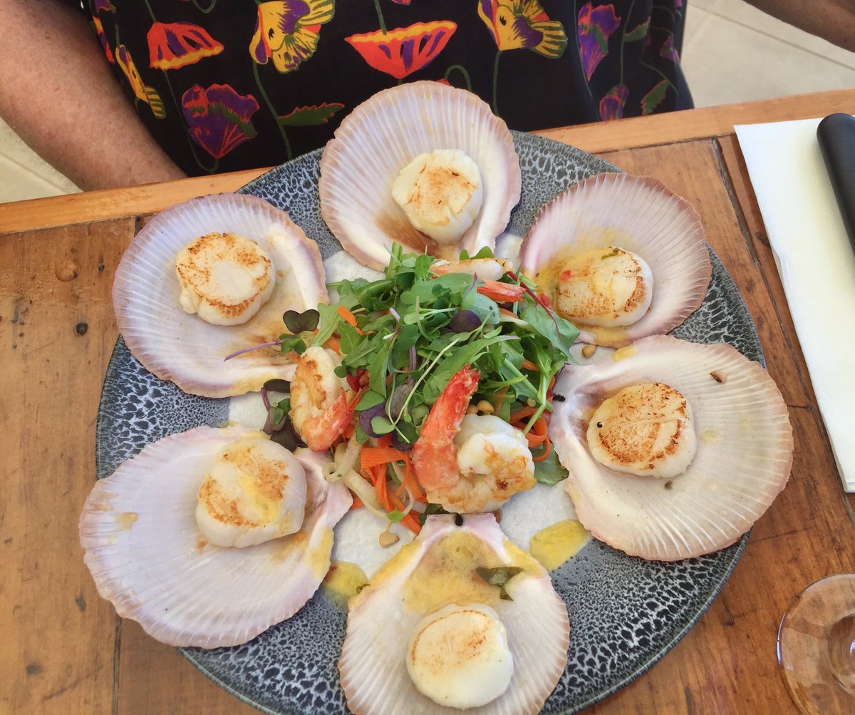 debbishdotcom's tweet photo. I lunched with my aunt and uncle today and they very patiently wait for me to take pictures of their food before tucking in! #SaltCafe #HerveyBay https://t.co/qSwCwgzBww