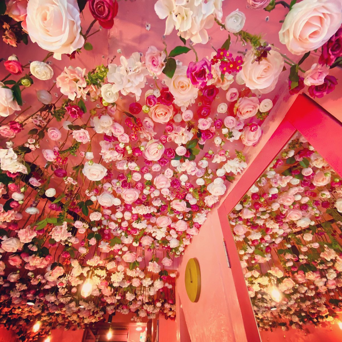 AsakusaQuluQulu's tweet image. 🌷🌷🌷
本日もオープンしました！
秋らしい爽やかな天気ですね🌞
浅草に遊びに来た際にはぜひご来店ください😊
.
【営業時間のお知らせ】
30日 12時〜18時(Lo.17時半)
31日  定休日
となります。
ご迷惑おかけしますが何卒よろしくお願致します。
.
#浅草QuluQulu #浅草クルクル
#quluqulu