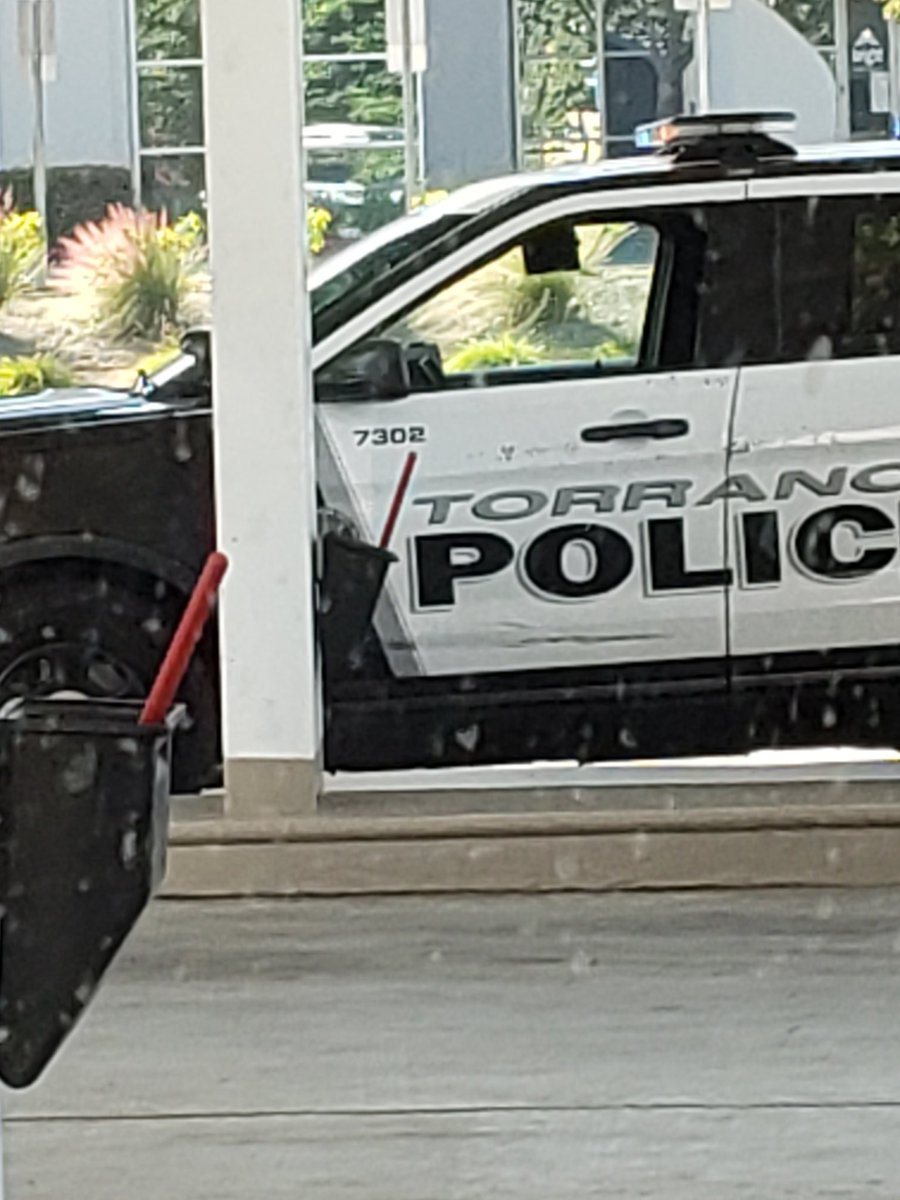 Jackie Tardif tweet media