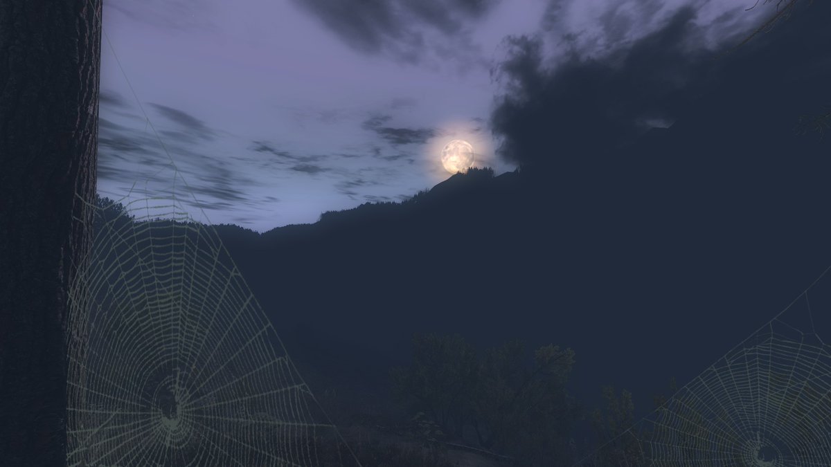 NitaThePoodle's tweet photo. ππΈ It's #theHunterClassic Halloween! π»πΊ And this year, while hunting with Trigger2121, we found (π
uhm, it found us and wanted us dead) an ALBINO! An awesome feeling. Only the 2nd year I have the nerve to participate in the werewolf hunt. ππ #theHunterGame #TimbergoldTrails https://t.co/WLoxaXa15B