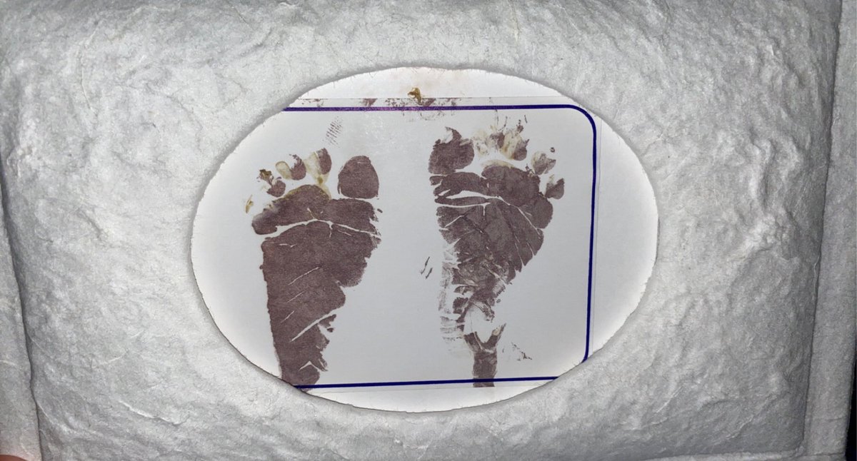 Delilah and Rudy recently experienced the devastating loss of their unborn daughter, Estrella Olivia Reynoso. She was born on August 17th, 2020. They’re left grieving this imaginable loss while facing unexpected expenses for Estrella’s cremation &amp; hospitalization. Link in our bio