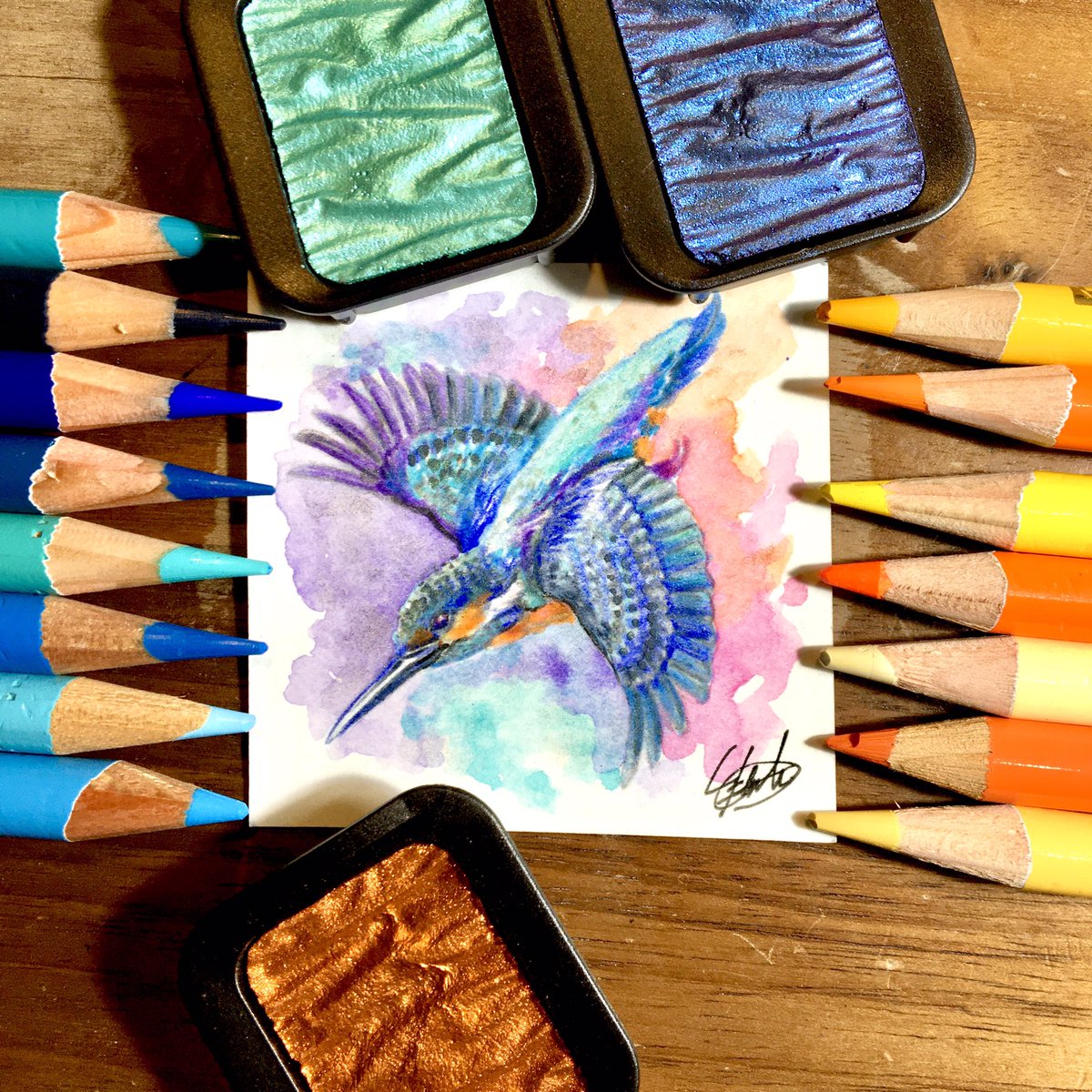 カワセミ色鉛筆画コレクション リアルを追求したものと すこしデフォルメしたもの 0sukeヨースケのイラスト