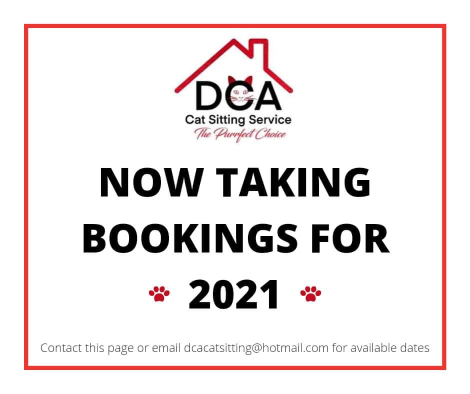 cat_dca's tweet photo. #catsitter #catsitting #catsofburley #catsofbramley #catsofarmley #catsofheadingley #catsofkirkstall #catsofleeds #cats #catsoftwitter #Leeds #leedscatsitter #leedsbusiness https://t.co/K2LaP6p0gY