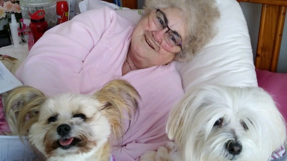 Chorus volunteer Janelle and her dog Bonnie (pictured) battle loneliness in the community by visiting socially isolated seniors. We need more volunteers just like her! Interested? Check out shorturl.at/lxCGI #volunteering #helpwanted
