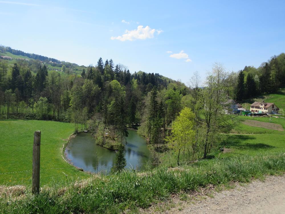 Schachen bei Herisau - Schwänberg - Salpeter- Kolumbanshöhle - Marstal - Gossau SG wandersite.ch/Tageswanderung…