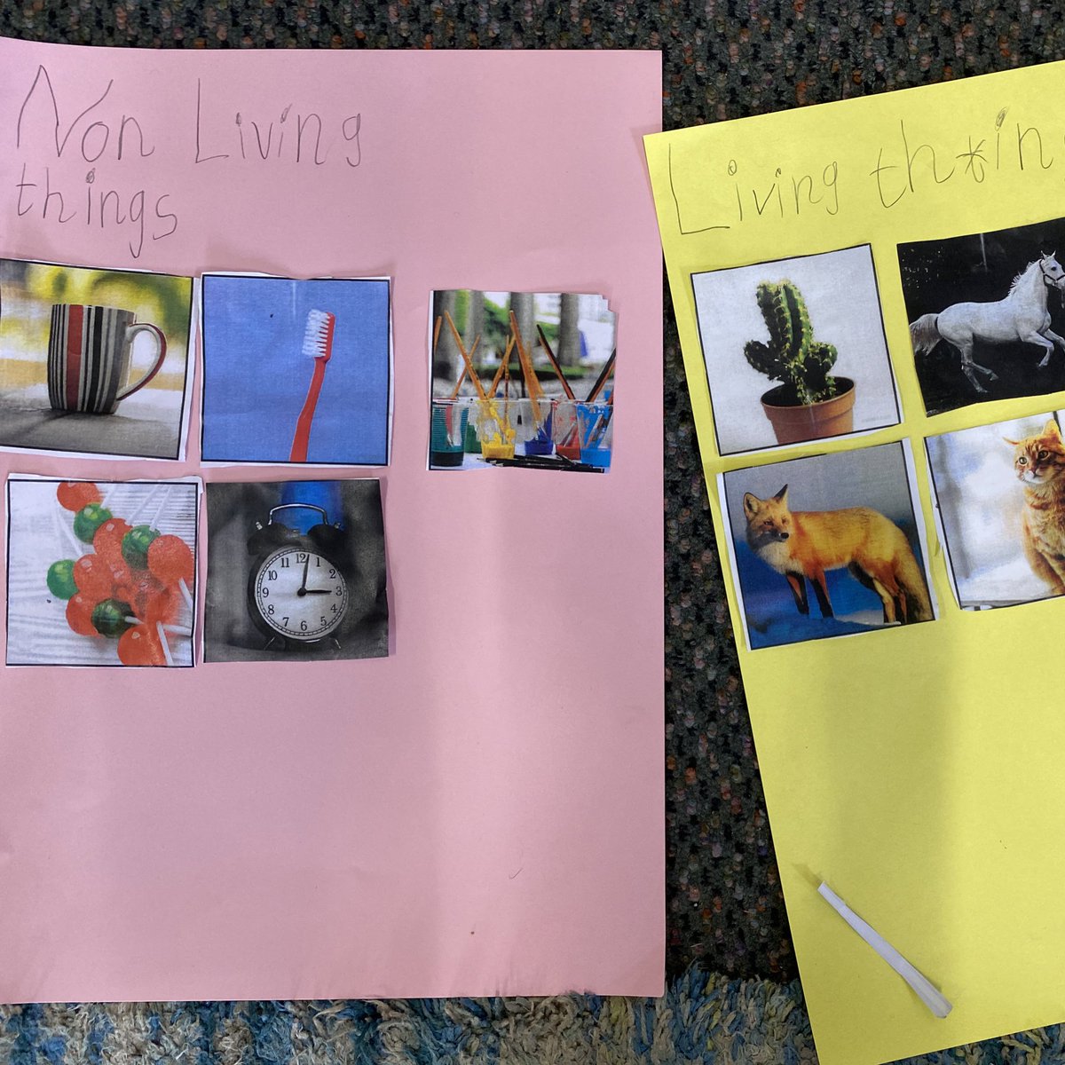 BNWPS_Faith's tweet photo. Today we learnt about Non Living Things! 🚲🛒🧽🧸🎀🧻 https://t.co/H5BNa8JK4V