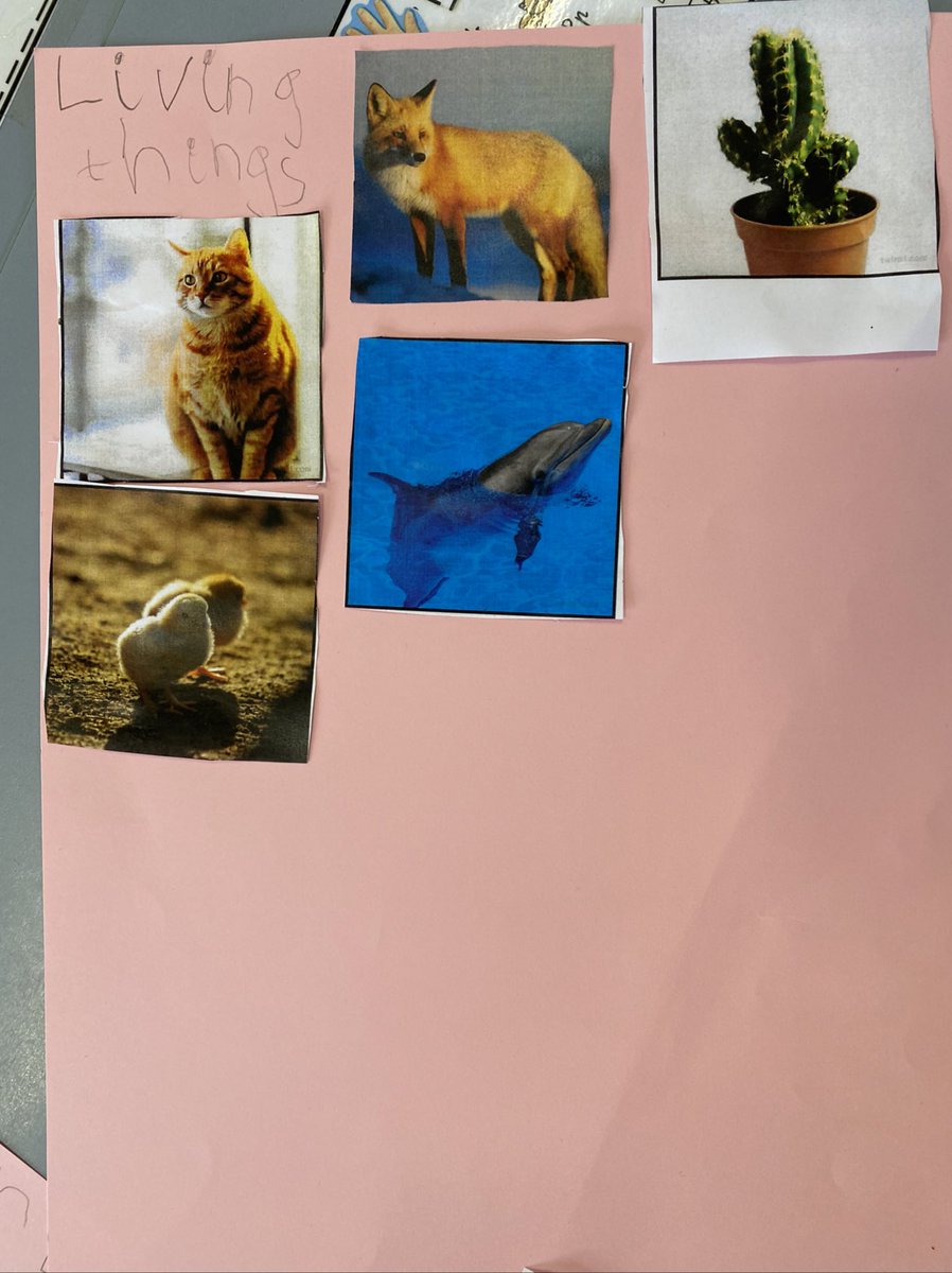 BNWPS_Faith's tweet photo. Today we learnt about Non Living Things! 🚲🛒🧽🧸🎀🧻 https://t.co/H5BNa8JK4V