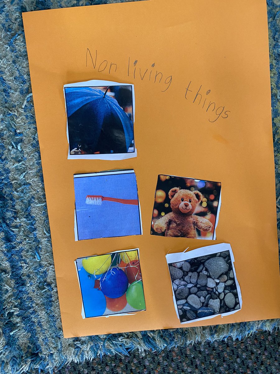 BNWPS_Faith's tweet photo. Today we learnt about Non Living Things! 🚲🛒🧽🧸🎀🧻 https://t.co/H5BNa8JK4V
