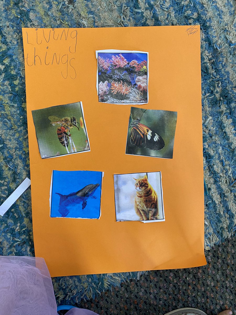 BNWPS_Faith's tweet photo. Today we learnt about Non Living Things! 🚲🛒🧽🧸🎀🧻 https://t.co/H5BNa8JK4V