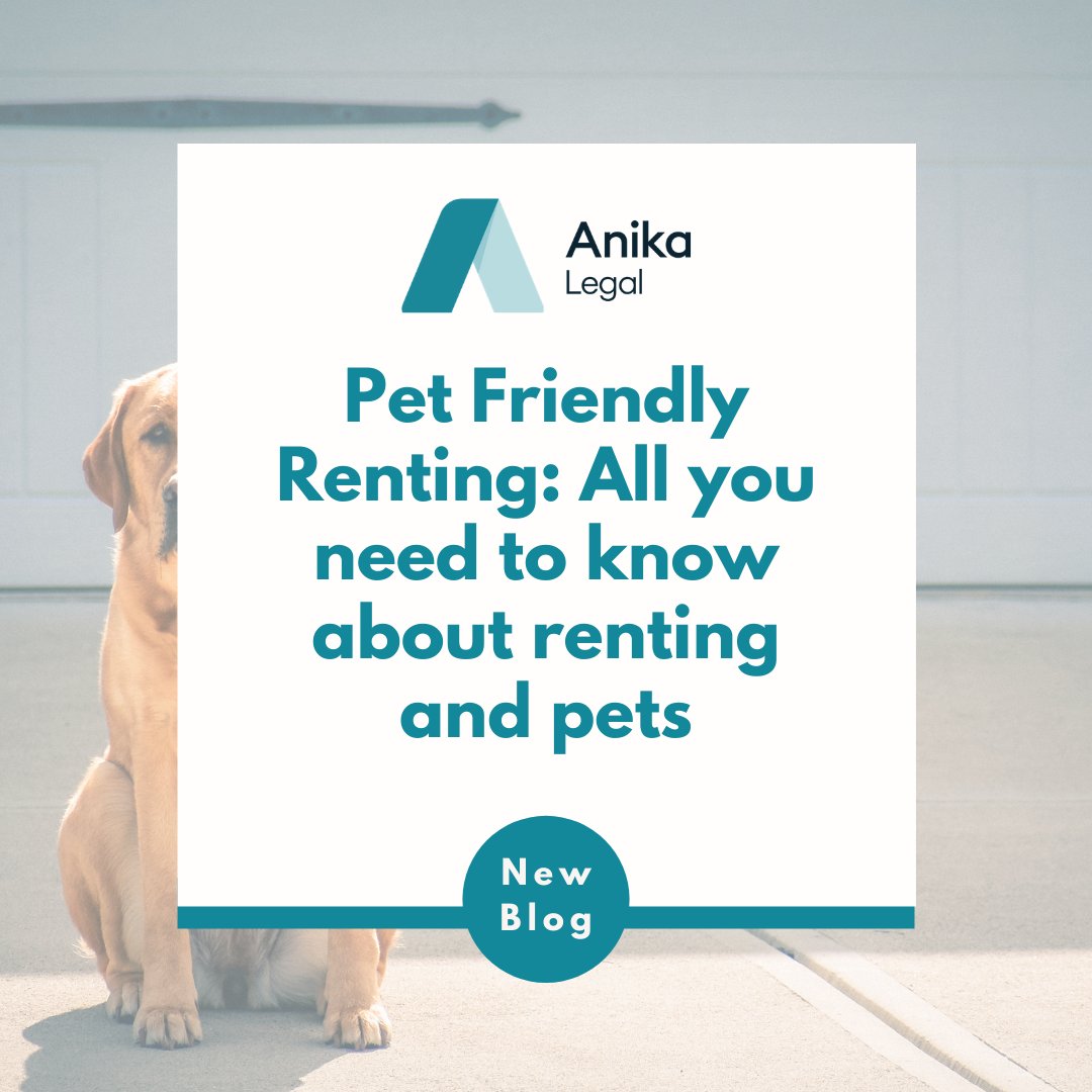 Owning a furry friend can add a layer of confusion when it comes to renting. However, it's not impossible!

In our latest blog post, we've put together a guide with everything you need to know about rental rights with pets. Check it out here: loom.ly/CTFv1-0