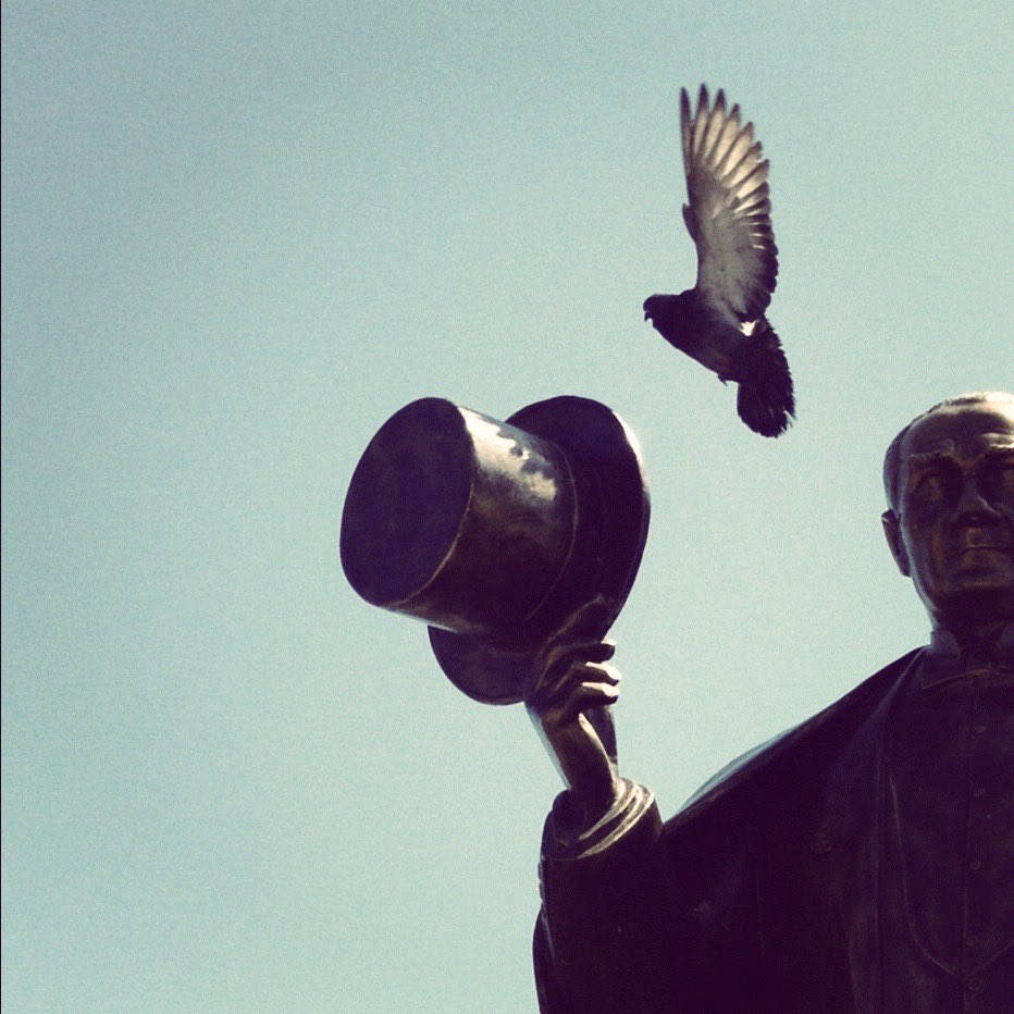 Gulfem Eren (@gulfemeren) on Twitter photo 