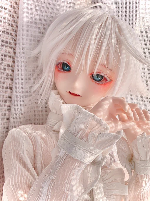 さきほど白まつげなお兄さん出品して参りましたっ可愛い写真(当社比)が撮れたのでぜひご覧頂けたら嬉しいです〜(*'∀`*)#まめるり亭 