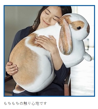 もちもちのでかうさぎちゃんです🐇 