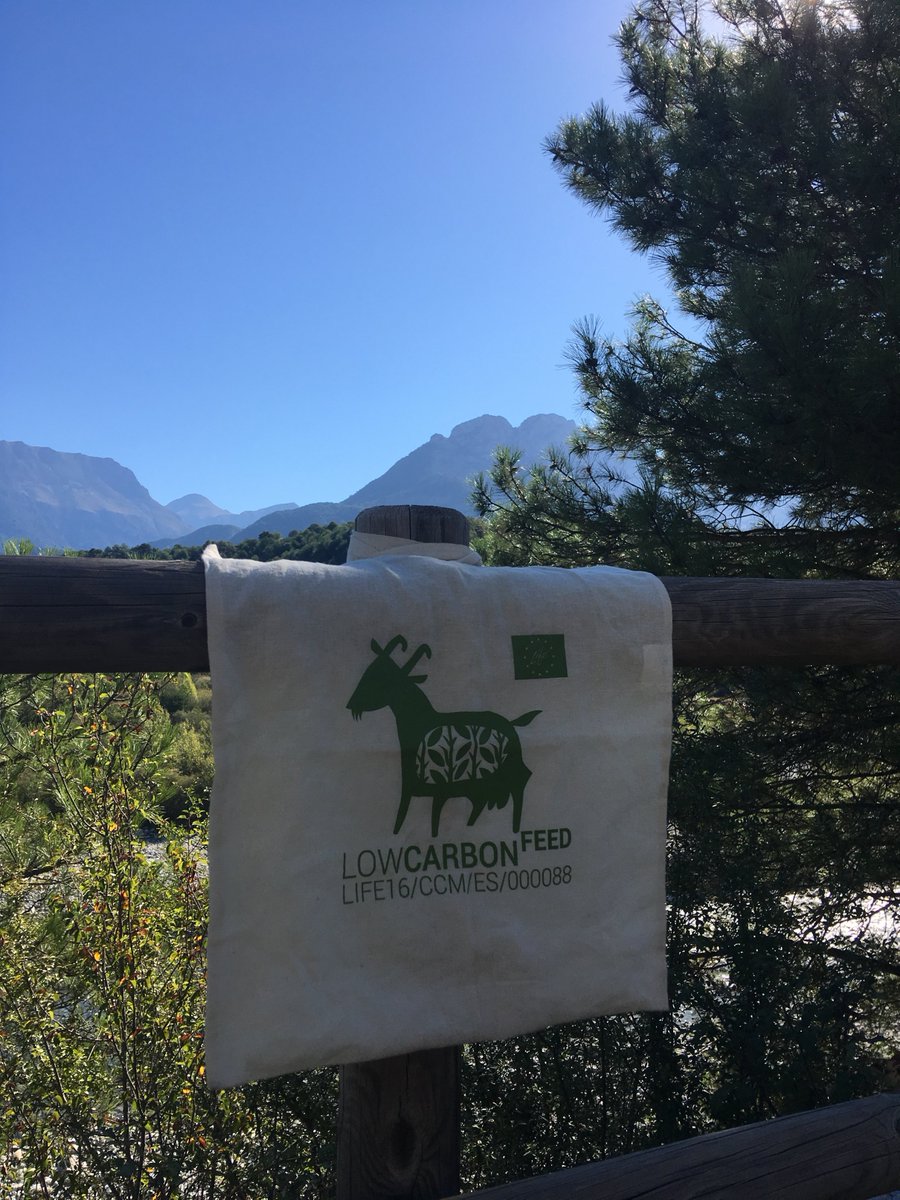 #LIFELowCarbonFeed busca revalorizar los residuos agrícolas, citrícolas y de arroz a través de nuevos métodos y prácticas que transforman los restos en un alimento animal capaz de reducir las emisiones CH4 en rumiantes, mitigando el cambio climático en agricultura y ganadería🇪🇺🐐