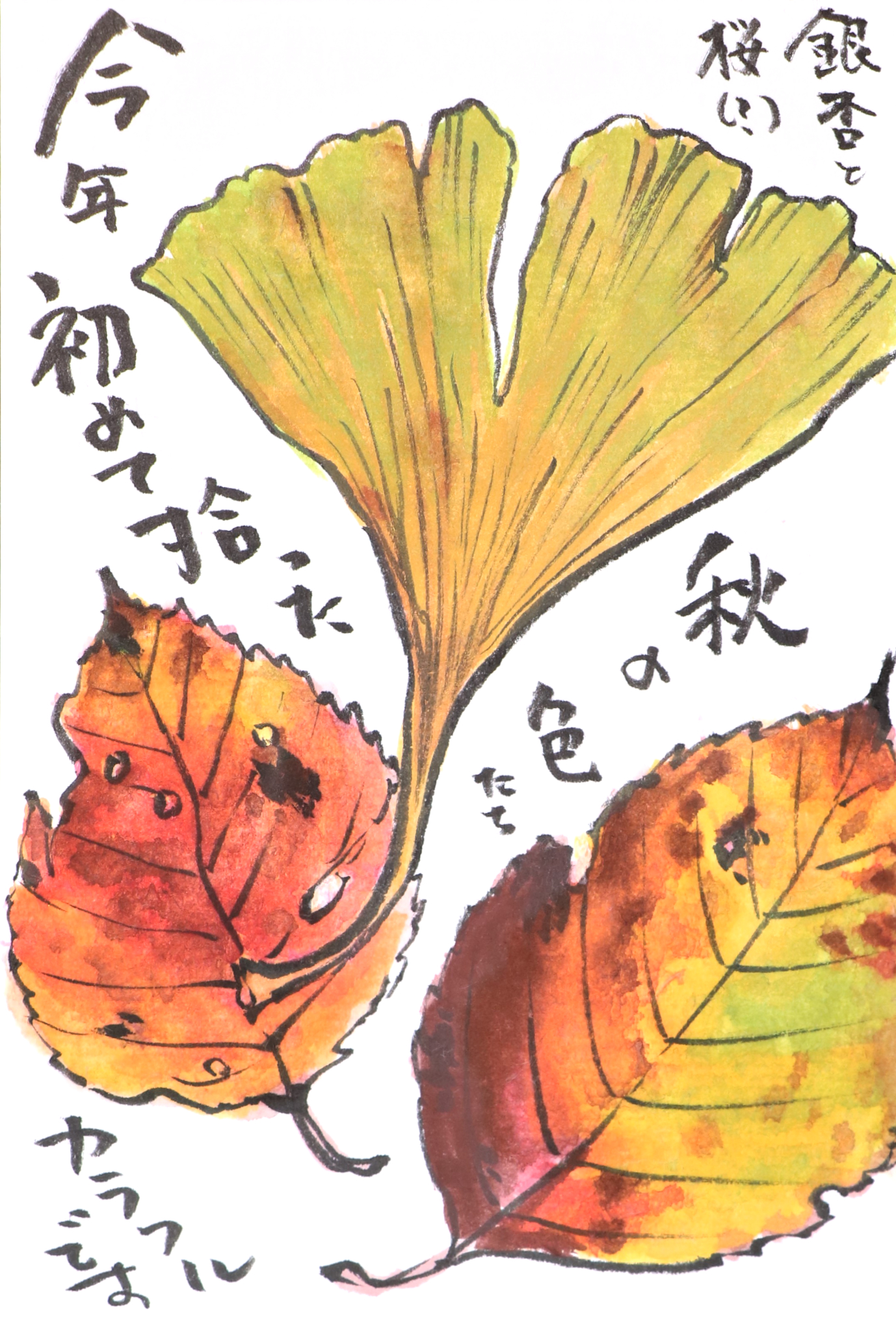 快適art絵手紙 木の実と落ち葉の絵手紙 秋は足物に良いものが落ちてます 描き方解説動画はこちら 木の実 T Co Cyyyhf8tup 落ち葉 T Co 0r19egycms 快適絵手紙 イラスト Youtube T