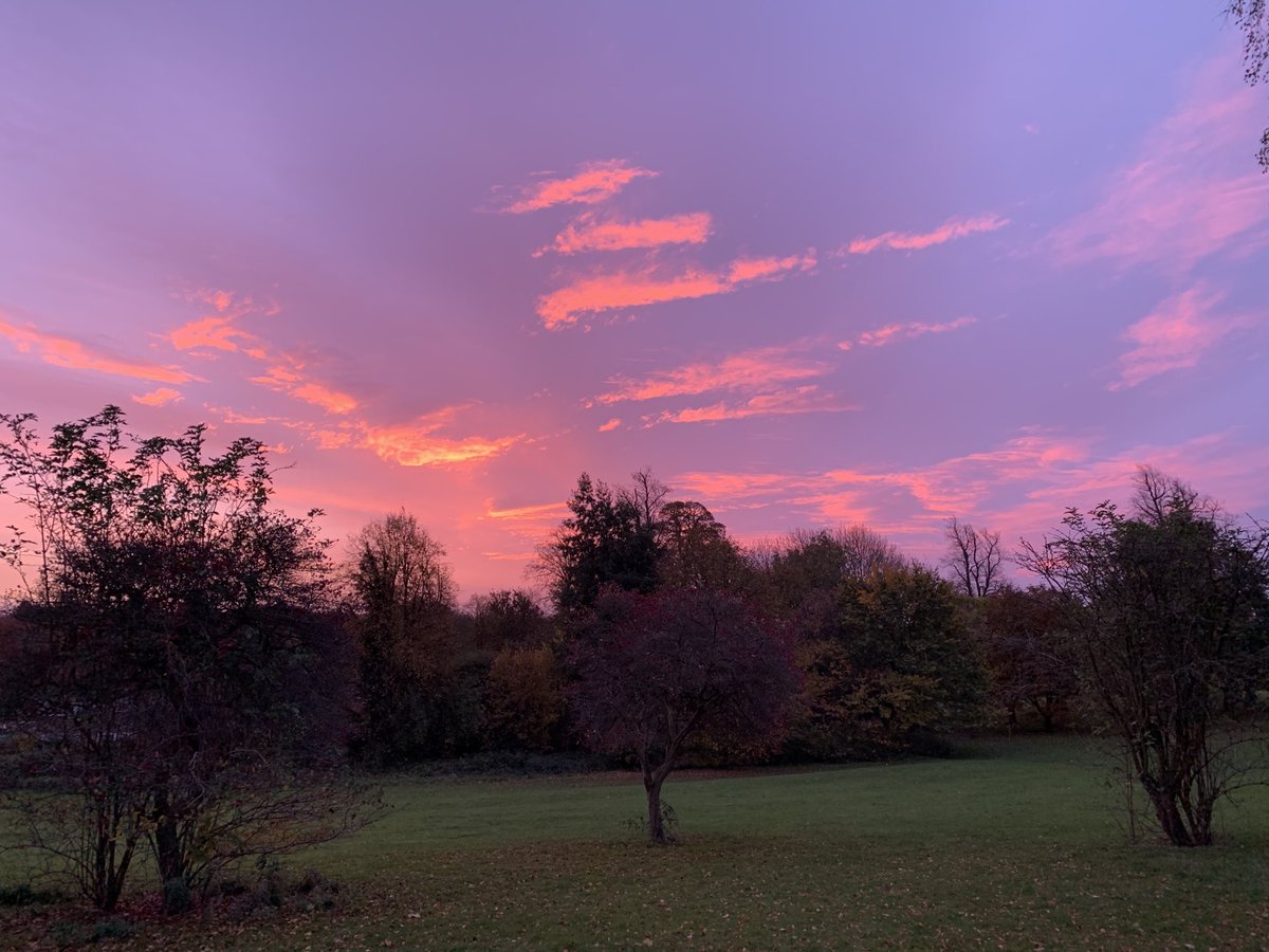 simhall's tweet image. Big Client meeting today, what a way to start the morning ⁦@Populusselect⁩